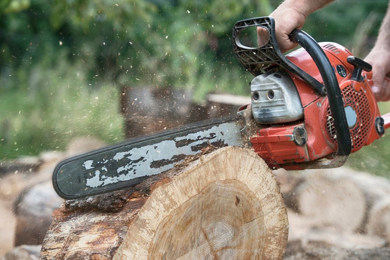 Top Logging Services in Millersburg, Ohio