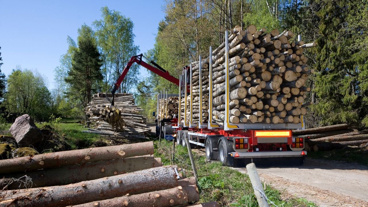 Expert Timber Contractor in Fostoria, Ohio