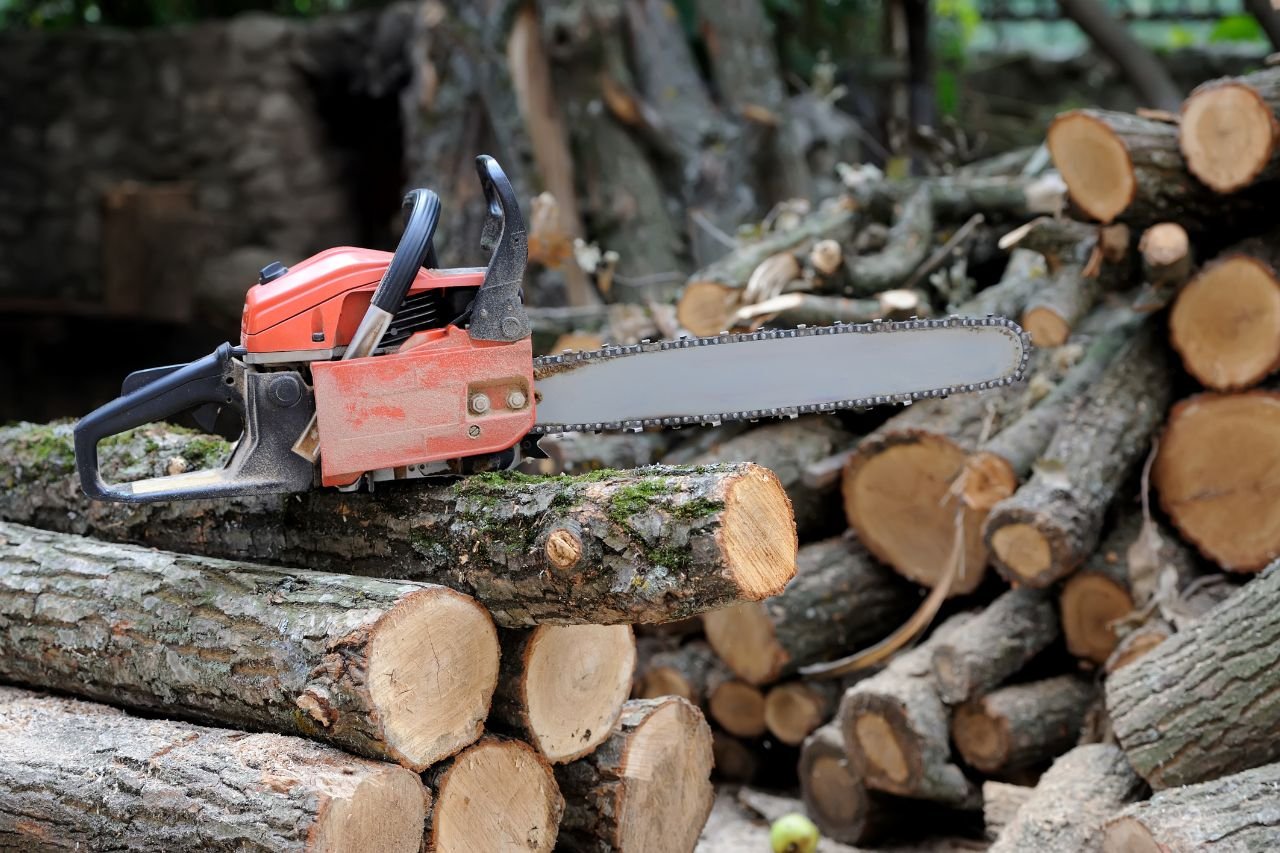 Top Logging Services in Cuyahoga Falls, Ohio