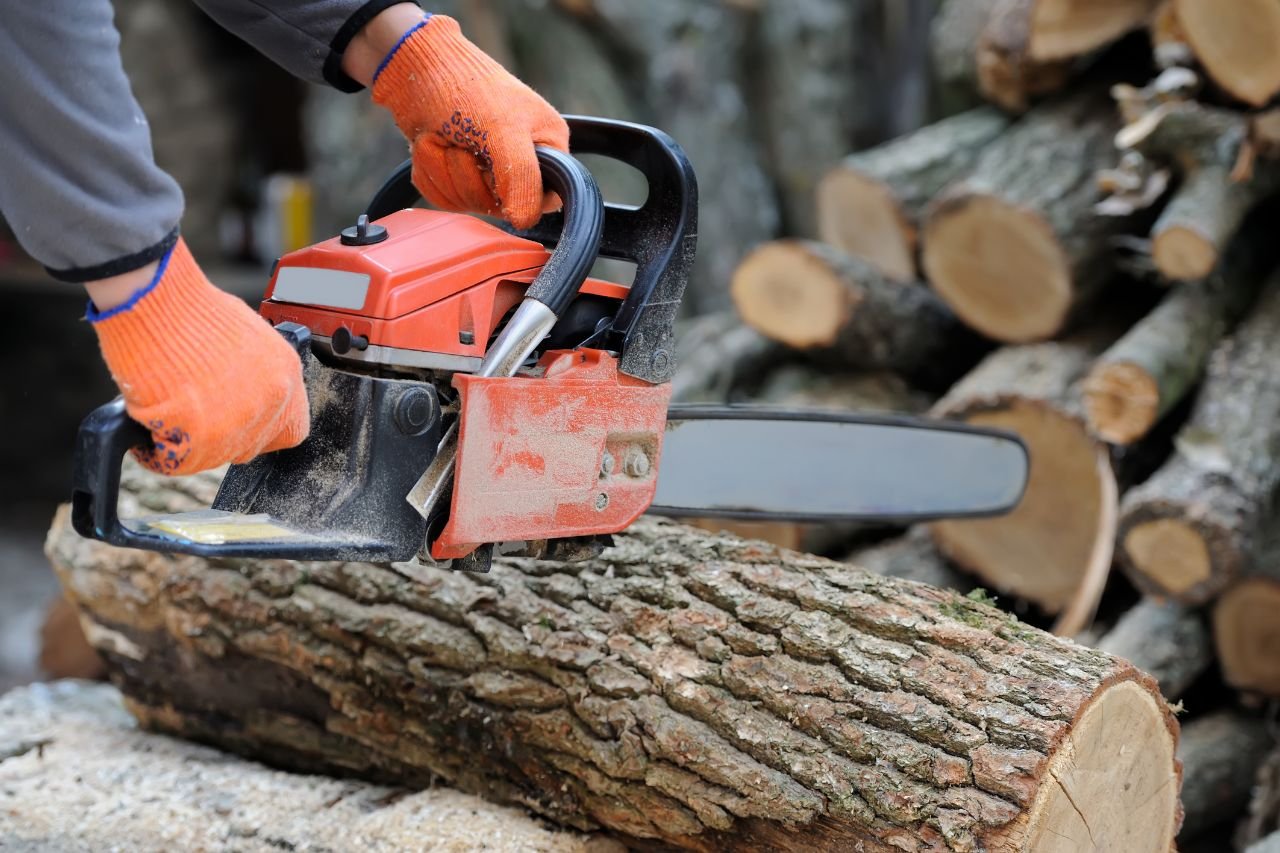 Top Logging Services in Medina, Ohio