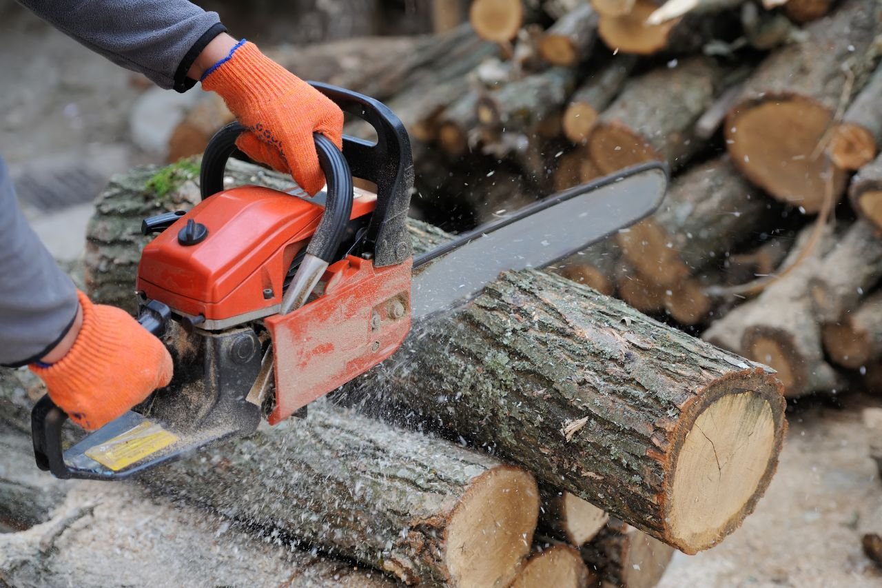 Top Logging Services in Marietta, Ohio