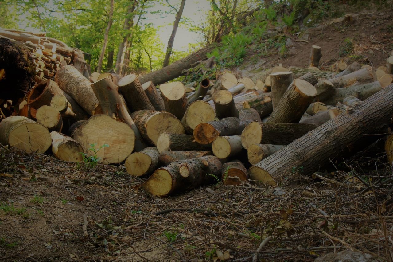 Expert Timber Contractor in Wooster, Ohio