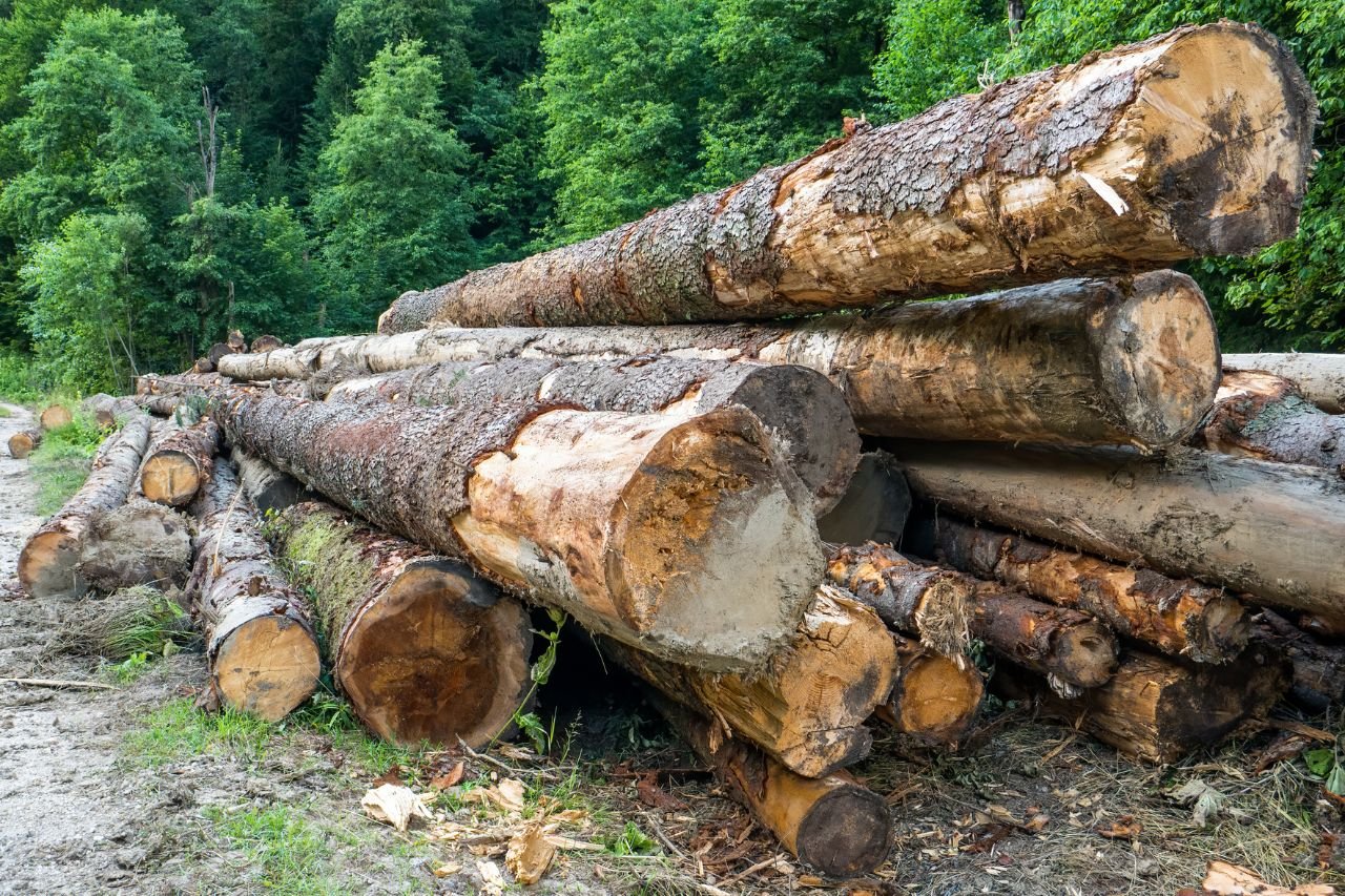 Expert Timber Contractor in Zanesville, Ohio