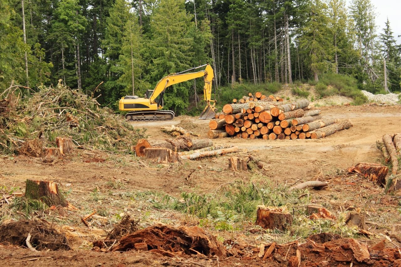 Expert Timber Contractor in Marietta, Ohio