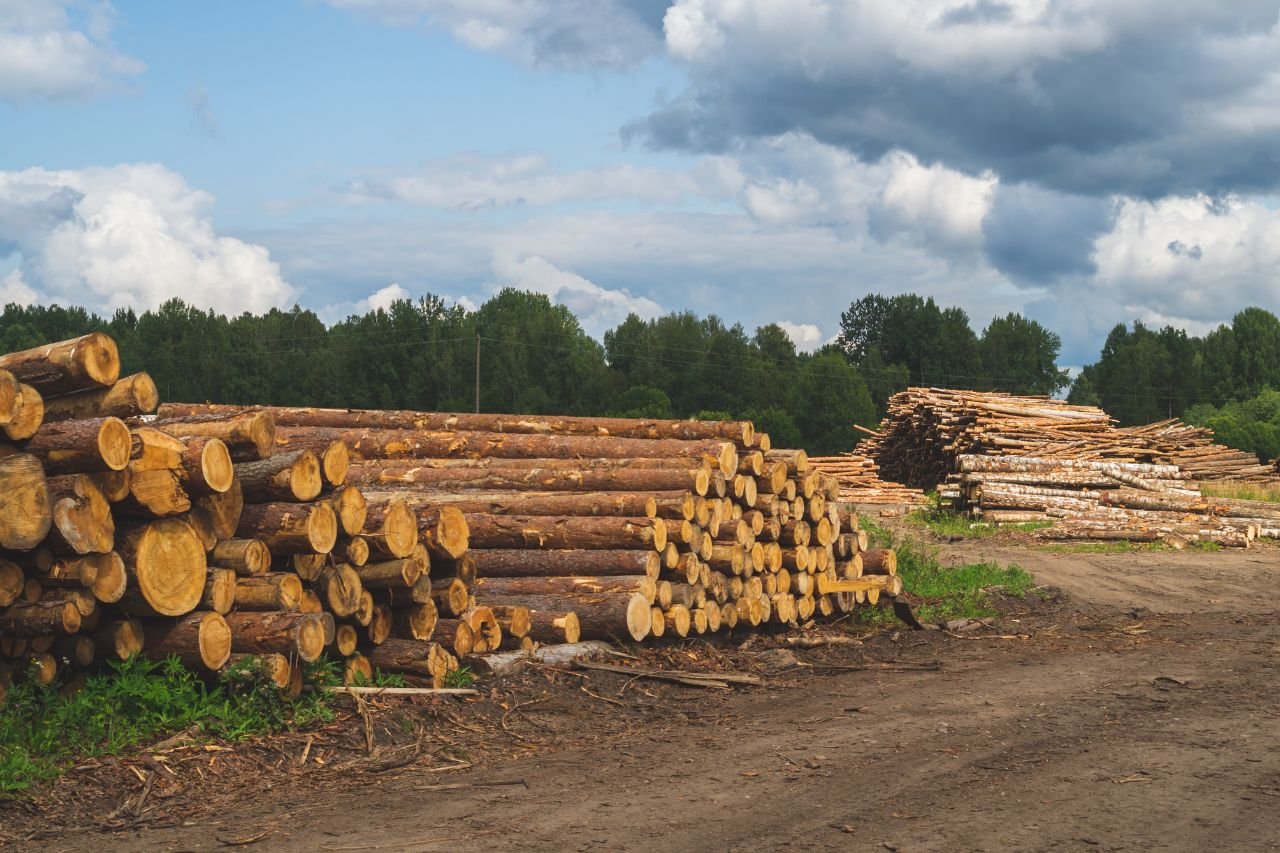 Expert Timber Contractor in Millersburg, Ohio