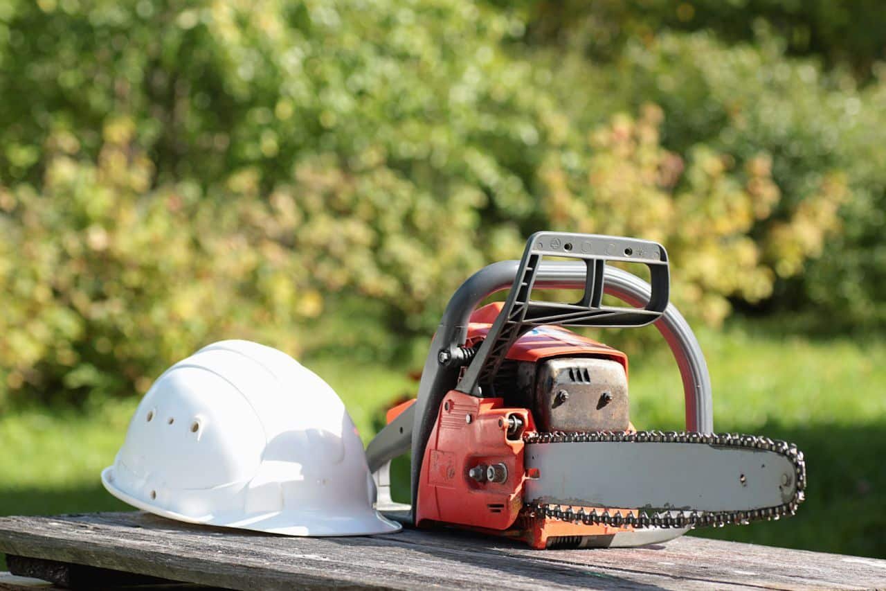 Top Logging Services in New Philadelphia, Ohio