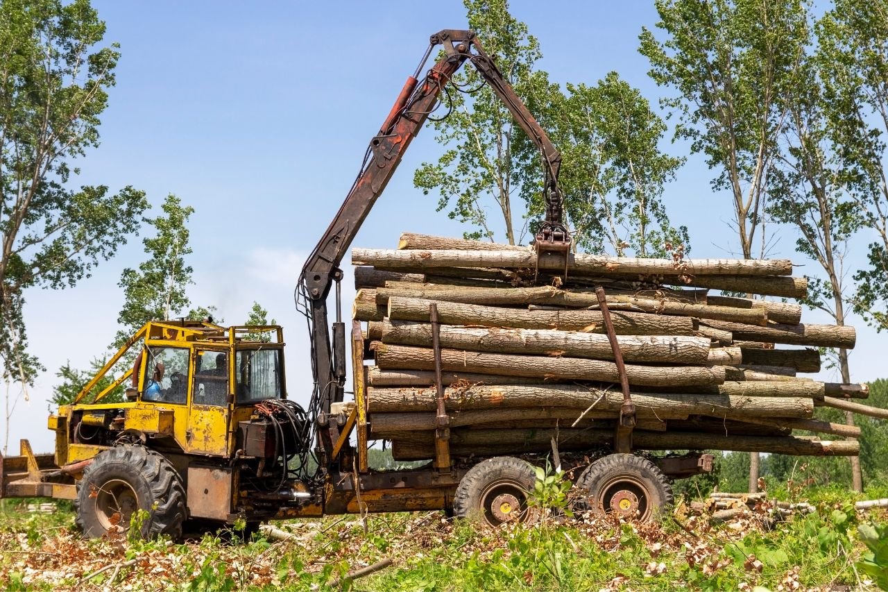 Expert Timber Contractor in Medina, Ohio